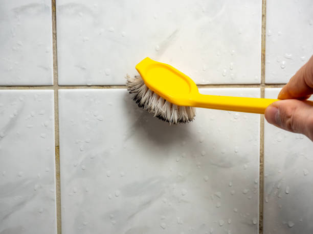 Best Home Mold Removal  in Raceland, KY
