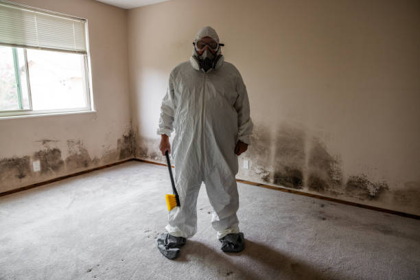 Best Local Mold Removal Service  in Raceland, KY